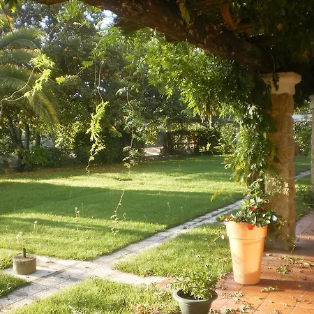 Agroturismo Casa Da Figueira Grande