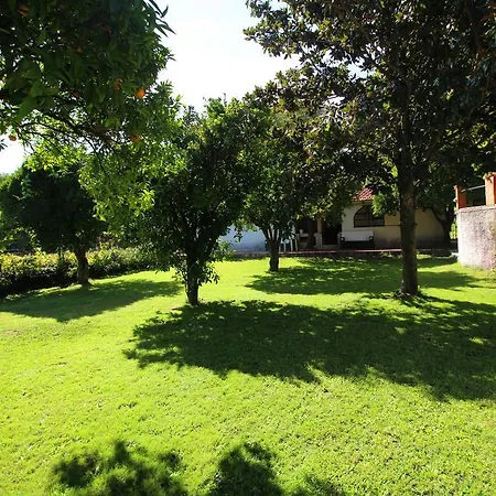Casa Da Figueira Grande